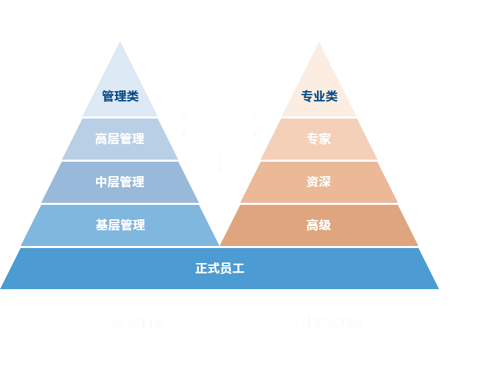 九游会J9官方网站 